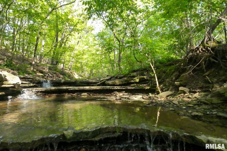 705 Webb Town Road, Tunnel Hill, Illinois 62972, 0 , 0 ,0,Land,For Sale,Webb Town,0,RMAEB457720