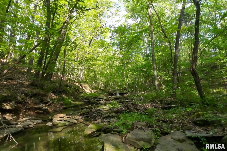 705 Webb Town Road, Tunnel Hill, Illinois 62972, 0 , 0 ,0,Land,For Sale,Webb Town,0,RMAEB457720