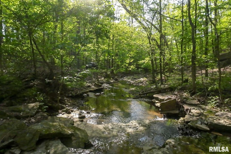 705 Webb Town Road, Tunnel Hill, Illinois 62972, 0 , 0 ,0,Land,For Sale,Webb Town,0,RMAEB457720