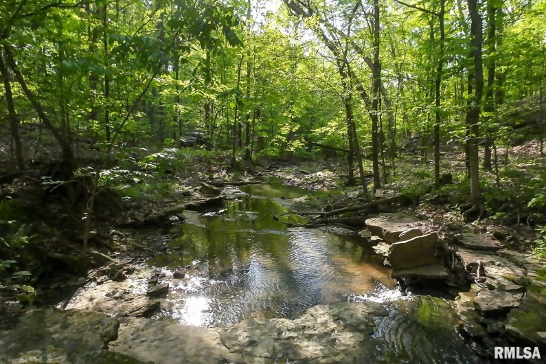 705 Webb Town Road, Tunnel Hill, Illinois 62972, 0 , 0 ,0,Land,For Sale,Webb Town,0,RMAEB457720