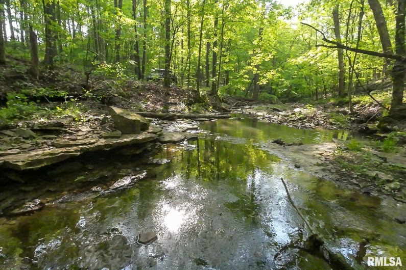 705 Webb Town Road, Tunnel Hill, Illinois 62972, 0 , 0 ,0,Land,For Sale,Webb Town,0,RMAEB457720