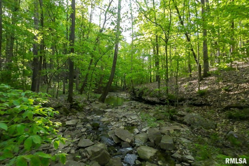 705 Webb Town Road, Tunnel Hill, Illinois 62972, 0 , 0 ,0,Land,For Sale,Webb Town,0,RMAEB457720