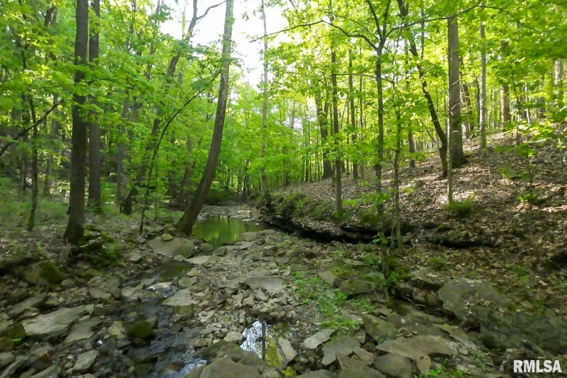 705 Webb Town Road, Tunnel Hill, Illinois 62972, 0 , 0 ,0,Land,For Sale,Webb Town,0,RMAEB457720