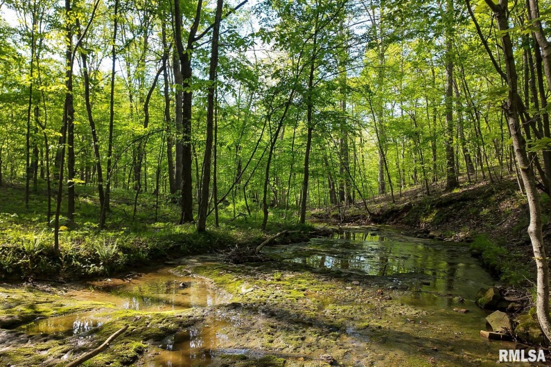705 Webb Town Road, Tunnel Hill, Illinois 62972, 0 , 0 ,0,Land,For Sale,Webb Town,0,RMAEB457720