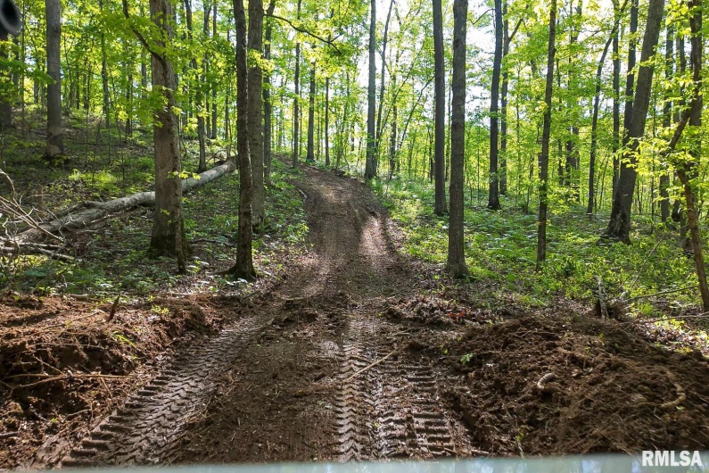 705 Webb Town Road, Tunnel Hill, Illinois 62972, 0 , 0 ,0,Land,For Sale,Webb Town,0,RMAEB457720