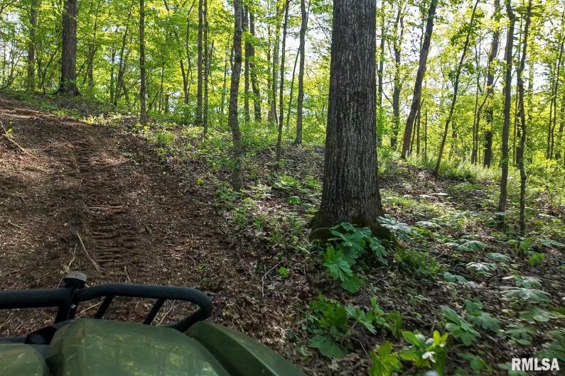 705 Webb Town Road, Tunnel Hill, Illinois 62972, 0 , 0 ,0,Land,For Sale,Webb Town,0,RMAEB457720