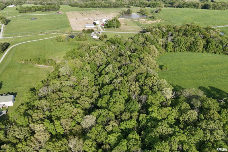 705 Webb Town Road, Tunnel Hill, Illinois 62972, 0 , 0 ,0,Land,For Sale,Webb Town,0,RMAEB457720