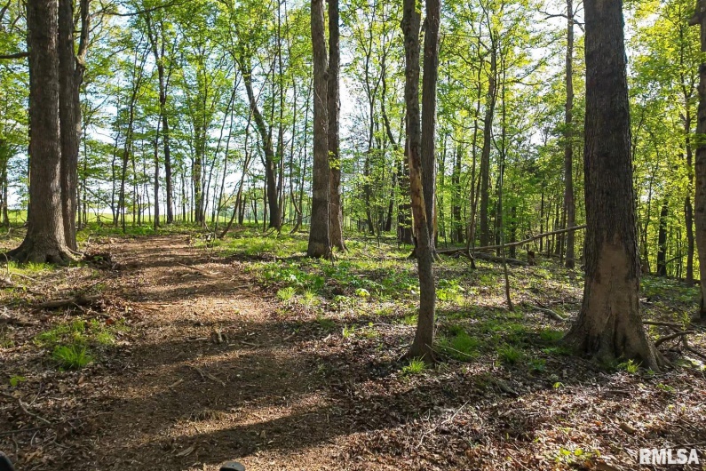705 Webb Town Road, Tunnel Hill, Illinois 62972, 0 , 0 ,0,Land,For Sale,Webb Town,0,RMAEB457720