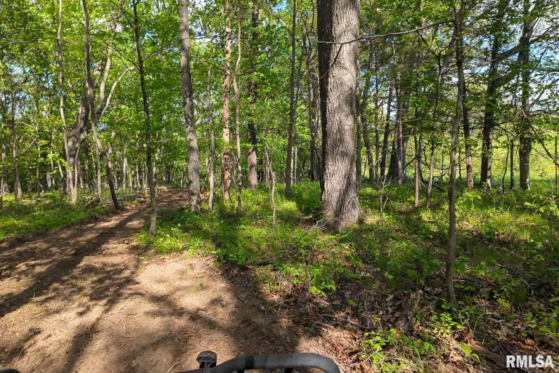 705 Webb Town Road, Tunnel Hill, Illinois 62972, 0 , 0 ,0,Land,For Sale,Webb Town,0,RMAEB457720