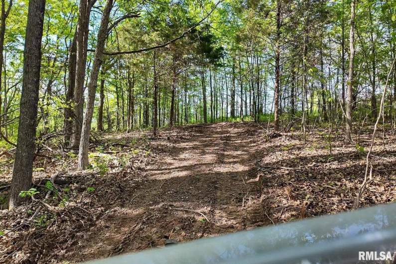 705 Webb Town Road, Tunnel Hill, Illinois 62972, 0 , 0 ,0,Land,For Sale,Webb Town,0,RMAEB457720