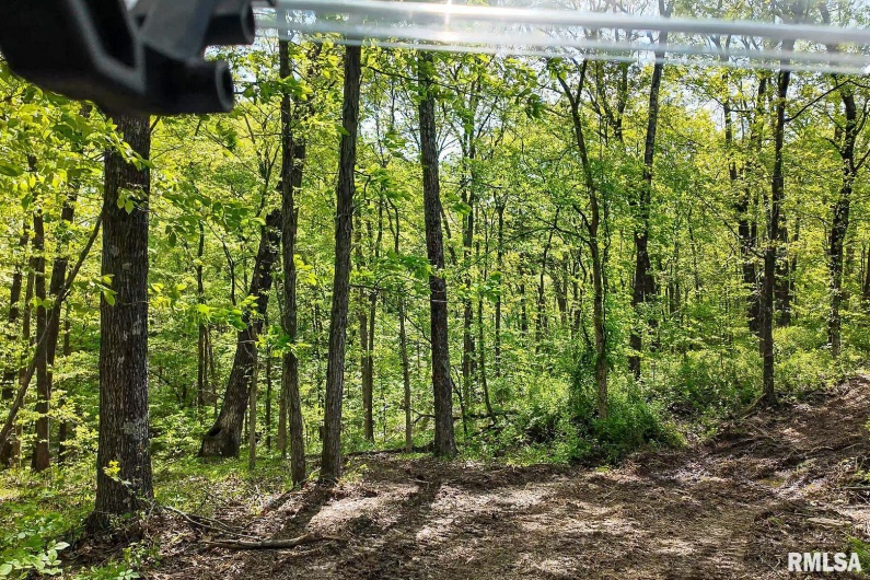 705 Webb Town Road, Tunnel Hill, Illinois 62972, 0 , 0 ,0,Land,For Sale,Webb Town,0,RMAEB457720