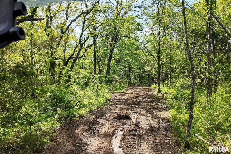 705 Webb Town Road, Tunnel Hill, Illinois 62972, 0 , 0 ,0,Land,For Sale,Webb Town,0,RMAEB457720