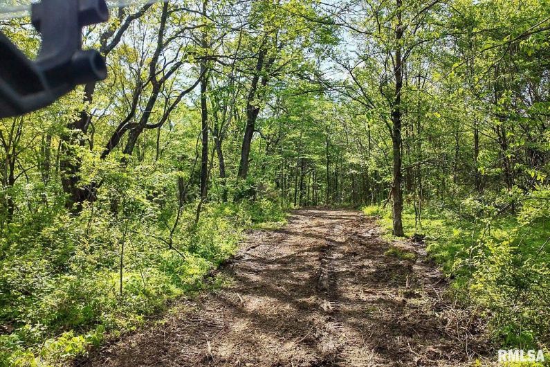 705 Webb Town Road, Tunnel Hill, Illinois 62972, 0 , 0 ,0,Land,For Sale,Webb Town,0,RMAEB457720