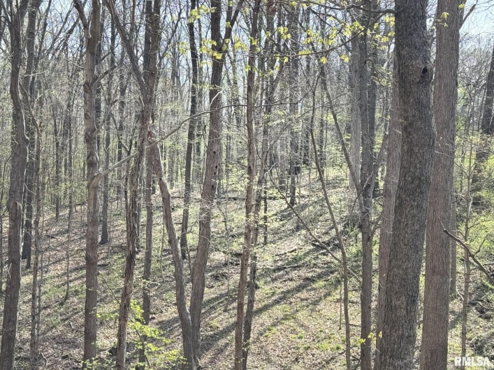 705 Webb Town Road, Tunnel Hill, Illinois 62972, 0 , 0 ,0,Land,For Sale,Webb Town,0,RMAEB457720