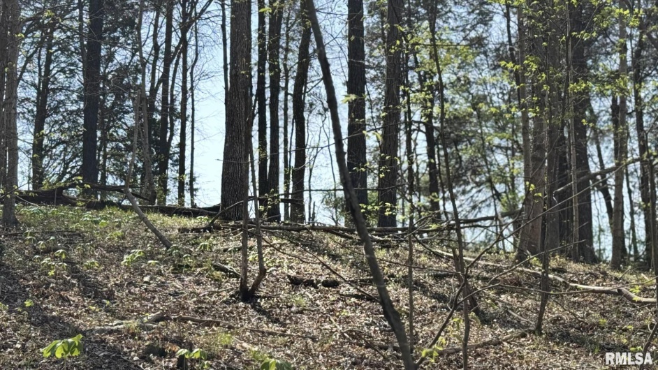 705 Webb Town Road, Tunnel Hill, Illinois 62972, 0 , 0 ,0,Land,For Sale,Webb Town,0,RMAEB457720