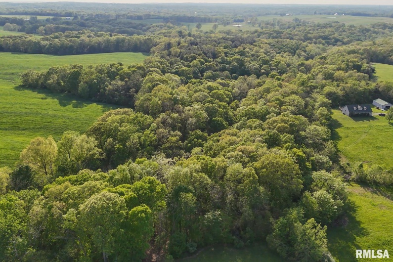 705 Webb Town Road, Tunnel Hill, Illinois 62972, 0 , 0 ,0,Land,For Sale,Webb Town,0,RMAEB457720