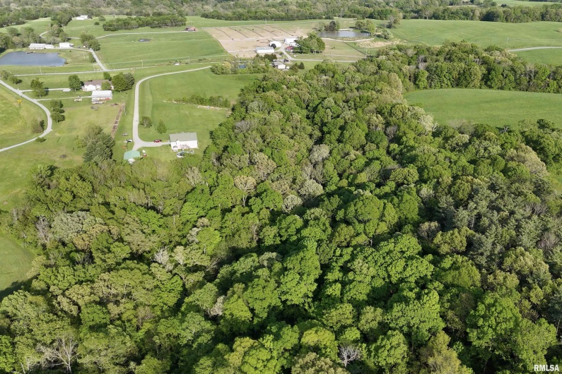 705 Webb Town Road, Tunnel Hill, Illinois 62972, 0 , 0 ,0,Land,For Sale,Webb Town,0,RMAEB457720