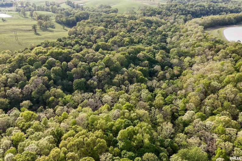 705 Webb Town Road, Tunnel Hill, Illinois 62972, 0 , 0 ,0,Land,For Sale,Webb Town,0,RMAEB457720