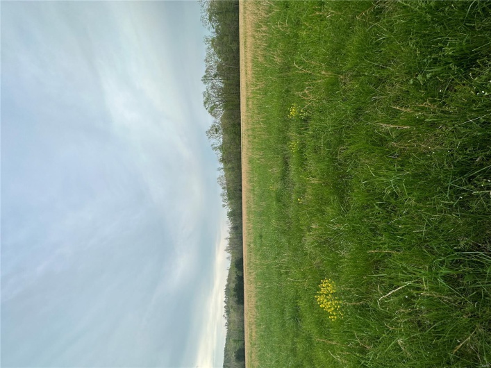 0 (Tract 1) TBD Wayne Route M, Cascade, Missouri 63655, ,Farm,For Sale,(Tract 1) TBD Wayne Route M,MAR25028100