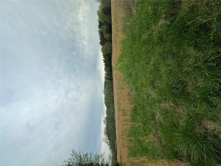 0 (Tract 1) TBD Wayne Route M, Cascade, Missouri 63655, ,Farm,For Sale,(Tract 1) TBD Wayne Route M,MAR25028100