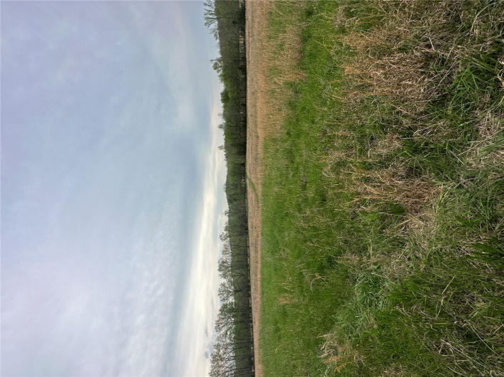 0 (Tract 1) TBD Wayne Route M, Cascade, Missouri 63655, ,Farm,For Sale,(Tract 1) TBD Wayne Route M,MAR25028100