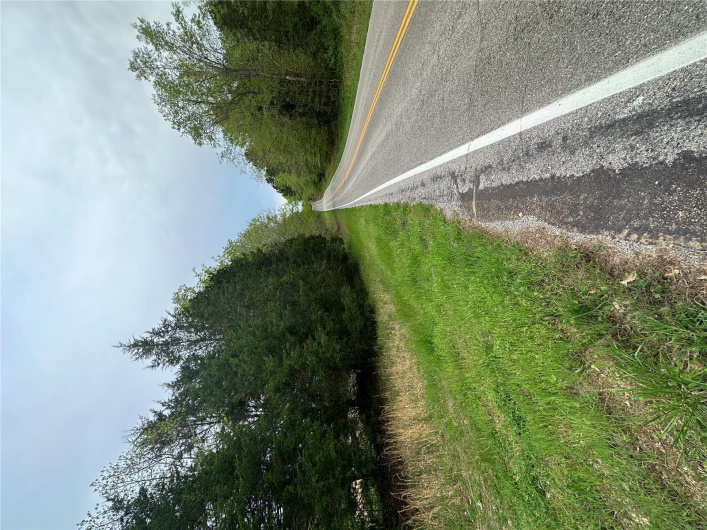 0 (Tract 1) TBD Wayne Route M, Cascade, Missouri 63655, ,Farm,For Sale,(Tract 1) TBD Wayne Route M,MAR25028100
