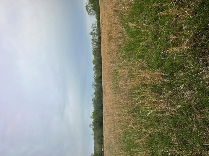 0 (Tract 1) TBD Wayne Route M, Cascade, Missouri 63655, ,Farm,For Sale,(Tract 1) TBD Wayne Route M,MAR25028100