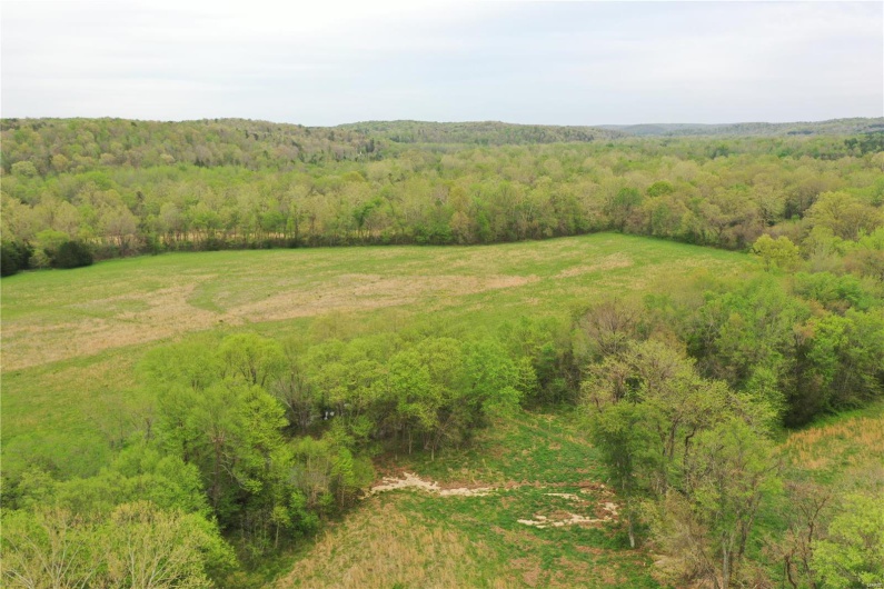 0 (Tract 1) TBD Wayne Route M, Cascade, Missouri 63655, ,Farm,For Sale,(Tract 1) TBD Wayne Route M,MAR25028100