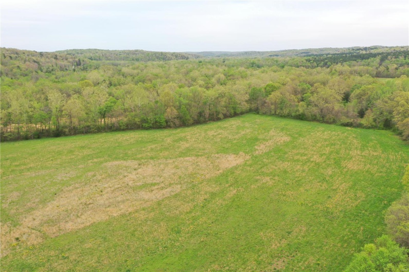 0 (Tract 1) TBD Wayne Route M, Cascade, Missouri 63655, ,Farm,For Sale,(Tract 1) TBD Wayne Route M,MAR25028100