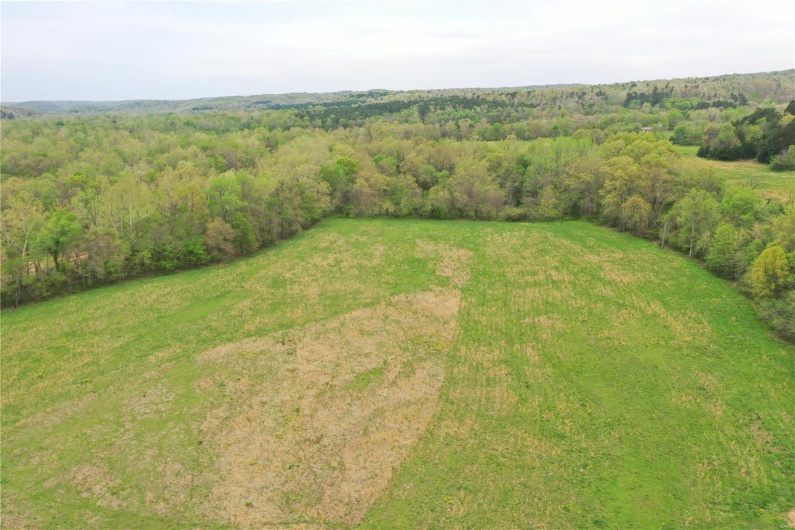 0 (Tract 1) TBD Wayne Route M, Cascade, Missouri 63655, ,Farm,For Sale,(Tract 1) TBD Wayne Route M,MAR25028100
