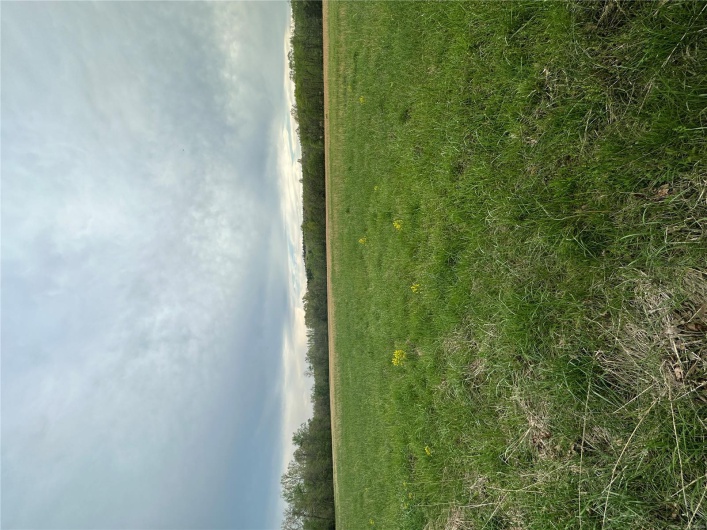 0 (Tract 1) TBD Wayne Route M, Cascade, Missouri 63655, ,Farm,For Sale,(Tract 1) TBD Wayne Route M,MAR25028100