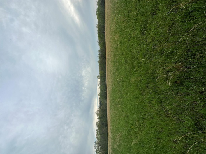 0 (Tract 1) TBD Wayne Route M, Cascade, Missouri 63655, ,Farm,For Sale,(Tract 1) TBD Wayne Route M,MAR25028100