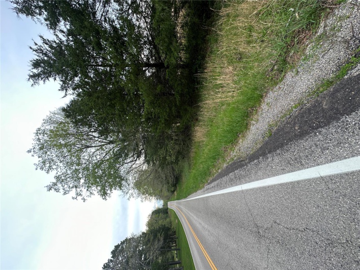 0 (Tract 2) TBD Wayne Route M, Cascade, Missouri 63655, ,Farm,For Sale,(Tract 2) TBD Wayne Route M,MAR25028114