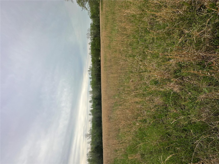 0 (Tract 2) TBD Wayne Route M, Cascade, Missouri 63655, ,Farm,For Sale,(Tract 2) TBD Wayne Route M,MAR25028114