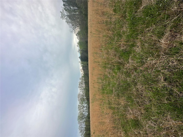 0 (Tract 2) TBD Wayne Route M, Cascade, Missouri 63655, ,Farm,For Sale,(Tract 2) TBD Wayne Route M,MAR25028114