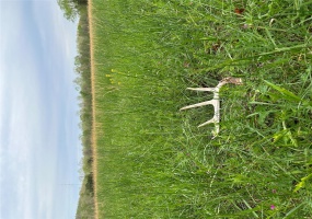 0 (Tract 2) TBD Wayne Route M, Cascade, Missouri 63655, ,Farm,For Sale,(Tract 2) TBD Wayne Route M,MAR25028114