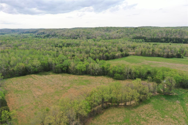 0 (Tract 2) TBD Wayne Route M, Cascade, Missouri 63655, ,Farm,For Sale,(Tract 2) TBD Wayne Route M,MAR25028114