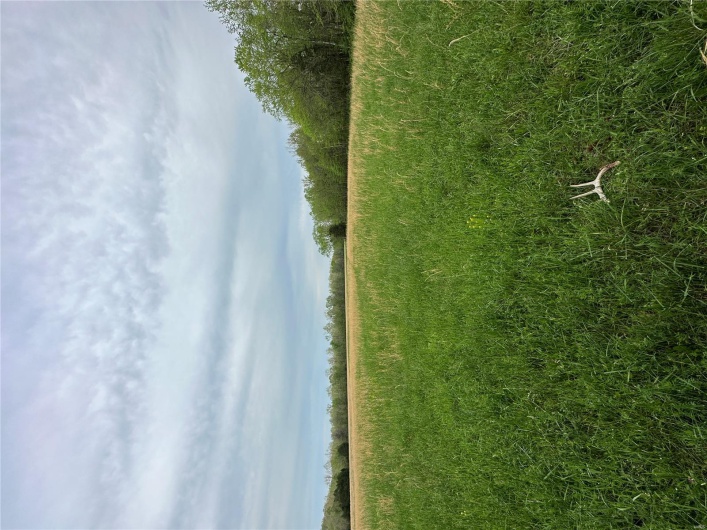 0 (Tract 2) TBD Wayne Route M, Cascade, Missouri 63655, ,Farm,For Sale,(Tract 2) TBD Wayne Route M,MAR25028114