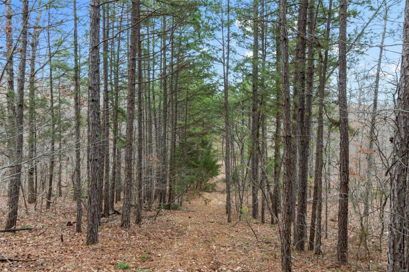 307 Hidden Valley, Annapolis, Missouri 63620, ,Farm,For Sale,Hidden Valley,MAR25028130