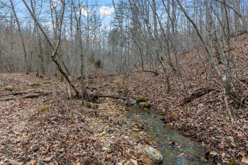307 Hidden Valley, Annapolis, Missouri 63620, ,Farm,For Sale,Hidden Valley,MAR25028130