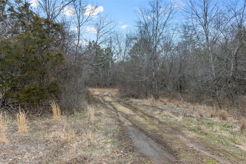 307 Hidden Valley, Annapolis, Missouri 63620, ,Farm,For Sale,Hidden Valley,MAR25028130