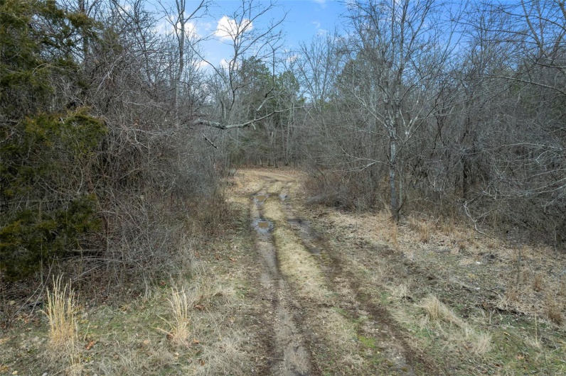 307 Hidden Valley, Annapolis, Missouri 63620, ,Farm,For Sale,Hidden Valley,MAR25028130