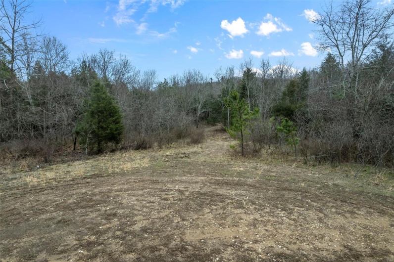 307 Hidden Valley, Annapolis, Missouri 63620, ,Farm,For Sale,Hidden Valley,MAR25028130