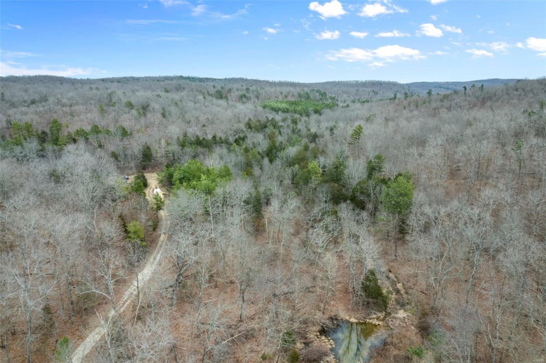 307 Hidden Valley, Annapolis, Missouri 63620, ,Farm,For Sale,Hidden Valley,MAR25028130