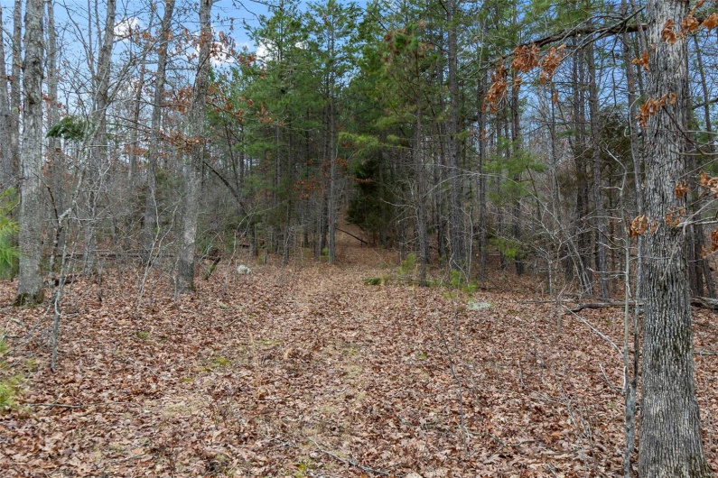 307 Hidden Valley, Annapolis, Missouri 63620, ,Farm,For Sale,Hidden Valley,MAR25028130