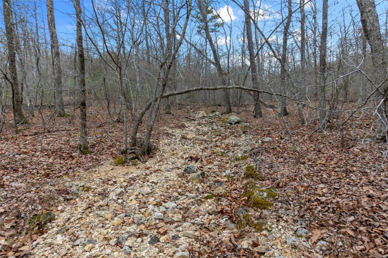 307 Hidden Valley, Annapolis, Missouri 63620, ,Farm,For Sale,Hidden Valley,MAR25028130