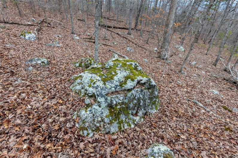 307 Hidden Valley, Annapolis, Missouri 63620, ,Farm,For Sale,Hidden Valley,MAR25028130