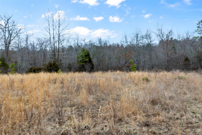 307 Hidden Valley, Annapolis, Missouri 63620, ,Farm,For Sale,Hidden Valley,MAR25028130