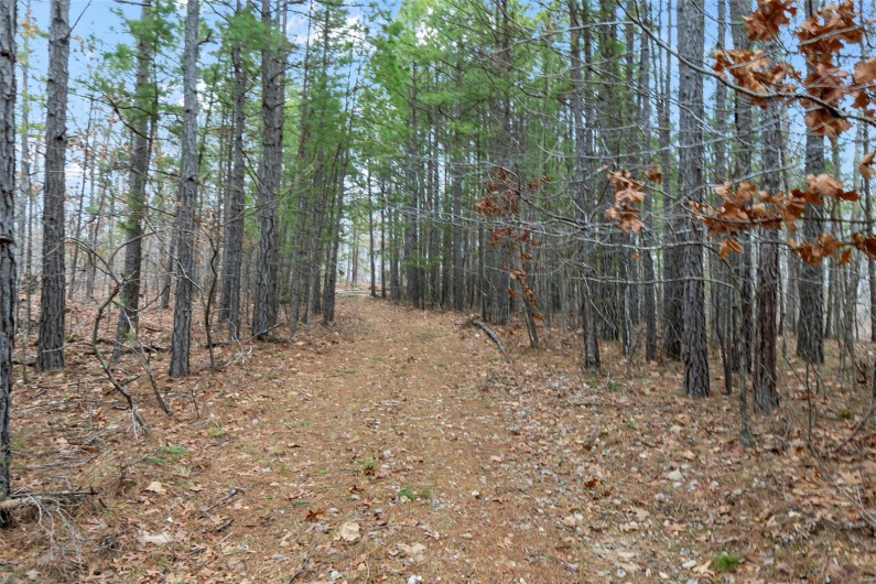 307 Hidden Valley, Annapolis, Missouri 63620, ,Farm,For Sale,Hidden Valley,MAR25028130