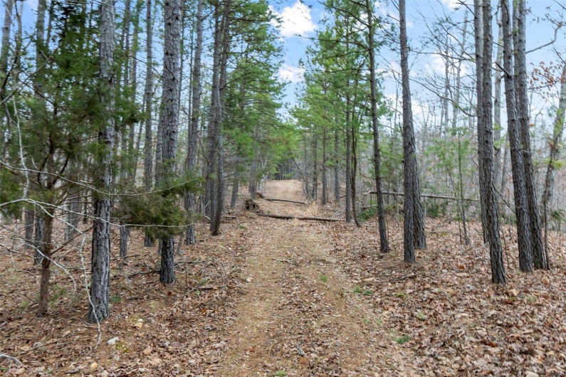 307 Hidden Valley, Annapolis, Missouri 63620, ,Farm,For Sale,Hidden Valley,MAR25028130
